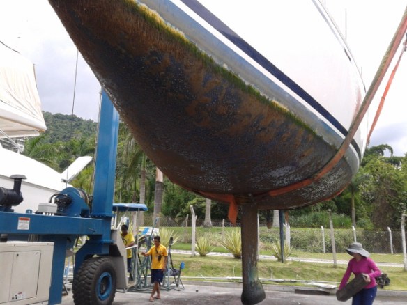 A água aquecida e cheia de vida do mar de Paraty encraca todo o barco.