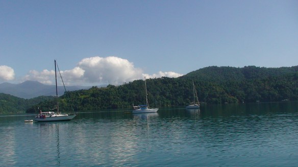 Hoje temos companhia.