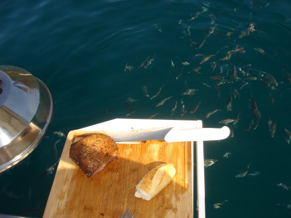 Olha os marimbás na boca de espera.