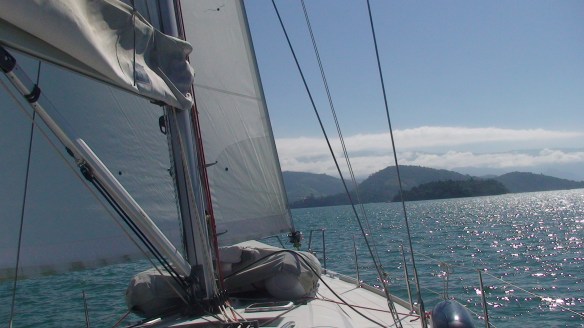 Festa do Camarão e Receitas 012