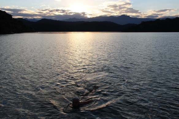 Vivi Marreca na água.