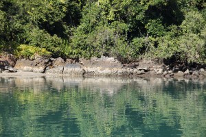 Maré baixa e as ostras à vista na ilha.