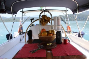 As frutas que são guardadas na geladeira durante a noite, porque os morcegos as adoram, especialmente a banana ouro.