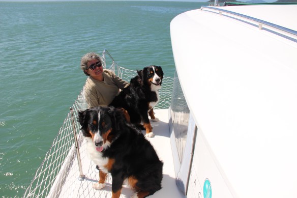 E quem não quer tirar um retrato com essas lindonas? Eu sim!