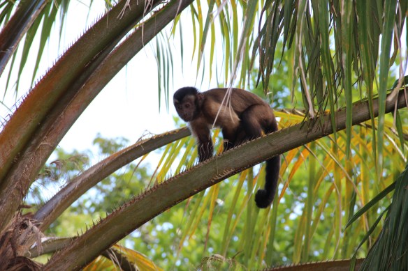 Caribe 2013-2014 241