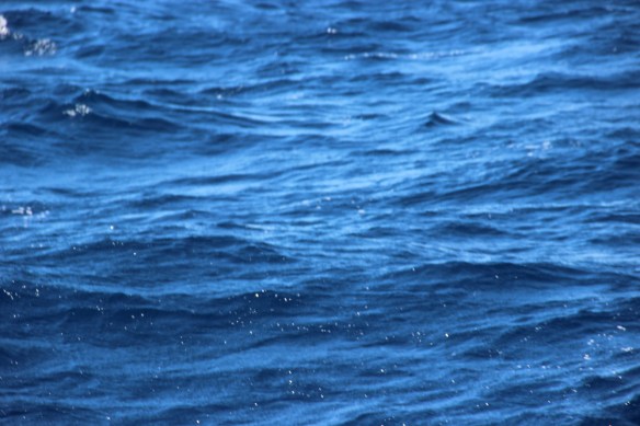 Caribe 2013-2014 274