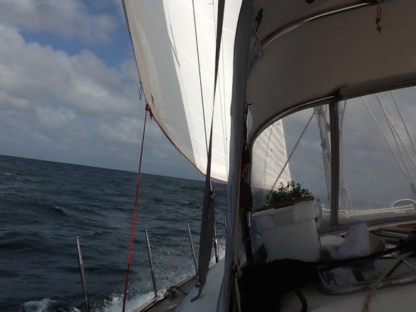 Velejando para Grenada