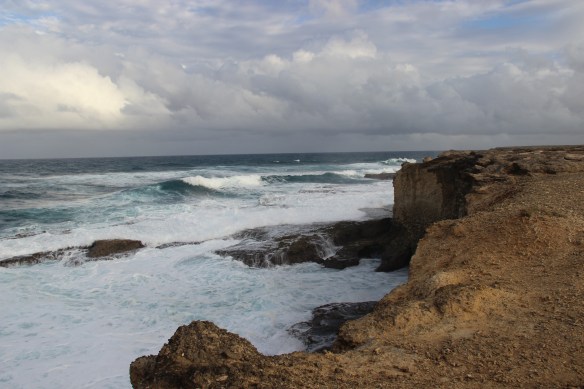 Caribe 2013-2014 515