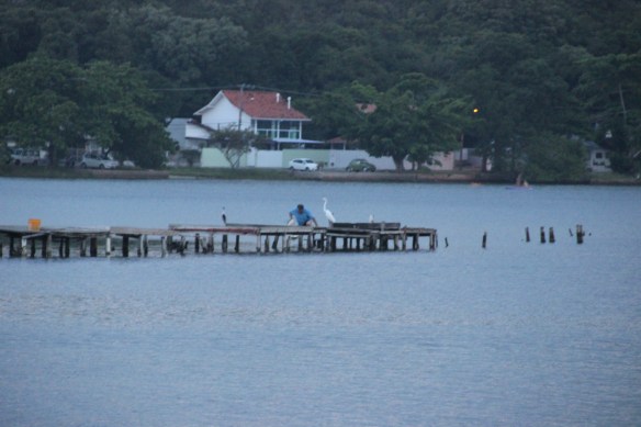 Lagoa da Conceição - e a garça que segue aquele pescador por todo lado, porque ele lhe oferece os pequenos peixes que vem na tarrafa.