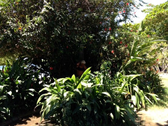 Aquela cabecinha branca lá é a Vivi. Aproveitamos para tomar um banho porque a Marina estava sem água. 