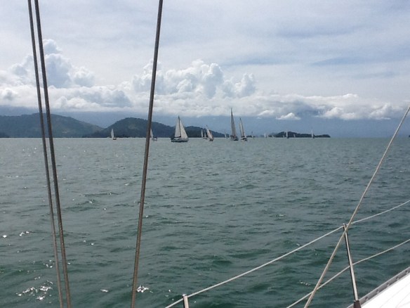 Observando a Regata, organizada pela Roberta (veleiro Maremio).