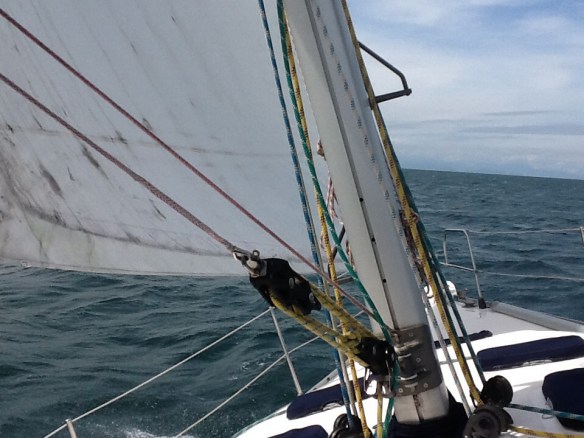 Bubi todo faceiro, derrubando tudo lá dentro.