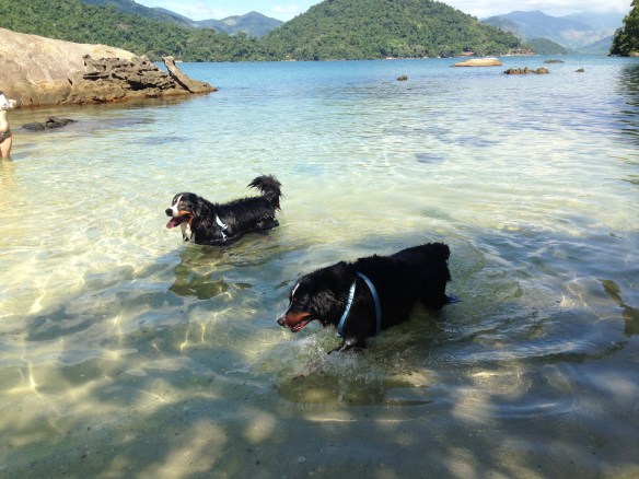 Boni e Mel - felizes em seu primeiro banho de mar.