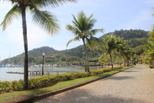 horta Vivi Paraty de volta 100