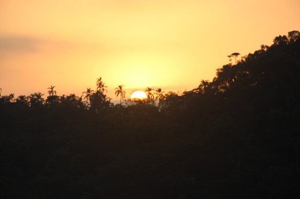 Como não sentir contentamento com uma visão dessa?